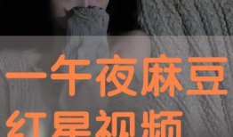 午夜在线视频播放,在线视频播放的视听奇遇